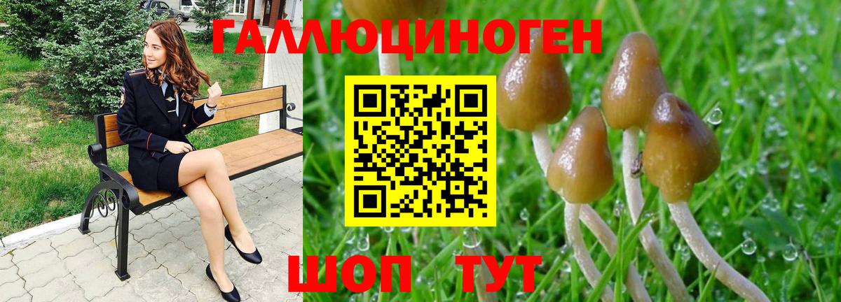 Галлюциногенные грибы Psilocybe  Вход с VPN  Фрязино 